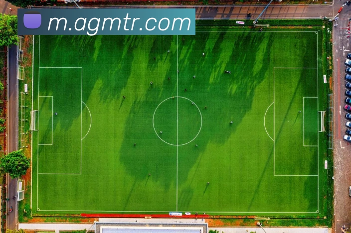 App Interface Preview